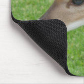 Fawn Muismat (Hoek)