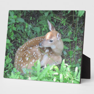Fawn Plaque Fotoplaat