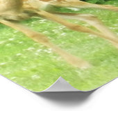 Fawn Poster (Hoek)