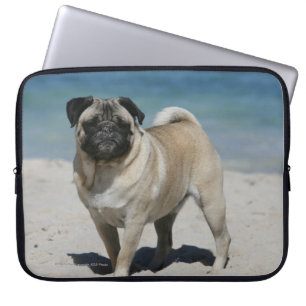 Fawn Pug bij Beach Laptop Sleeve