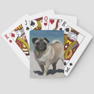 Fawn Pug bij Beach Pokerkaarten