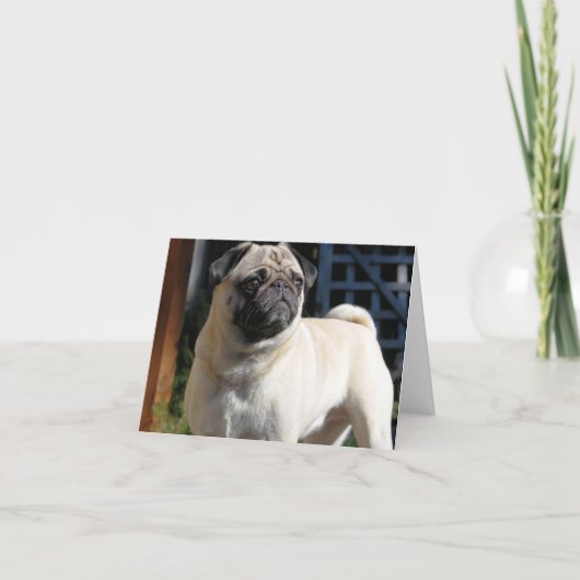 Fawn Pug Note Kaart - Leeg (Voorkant)