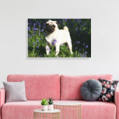 Fawn Pug Permanent in de Bluebells Canvas Afdruk (Insitu (Woonkamer))