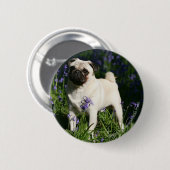 Fawn Pug Permanent in de Bluebells Ronde Button 5,7 Cm (Voorkant /achterkant)