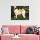 Fawn Pug Profile Canvas Afdruk (Insitu (Woonkamer))