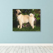 Fawn Pug Profile Canvas Afdruk (Insitu (Houten vloer))