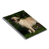 Fawn Pug Profile Notitieboek (Rechterzijde)
