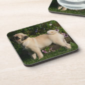 Fawn Pug Profile Onderzetter (Linkerzijde)