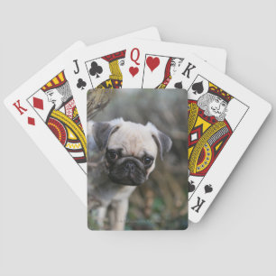 Fawn Pug Puppy Headshot Pokerkaarten