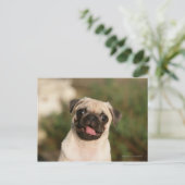Fawn Pug Puppy Panting Briefkaart (Staand voorkant)