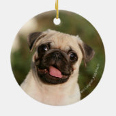 Fawn Pug Puppy Panting Keramisch Ornament (Achterkant)
