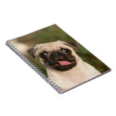 Fawn Pug Puppy Panting Notitieboek (Rechterzijde)