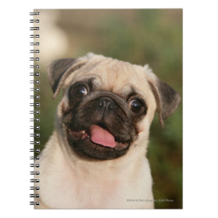 Fawn Pug Puppy Panting Notitieboek