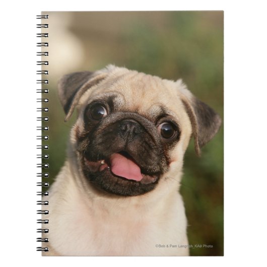 Fawn Pug Puppy Panting Notitieboek (Voorkant)