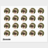 Fawn Pug Puppy Panting Ronde Sticker (Vel)