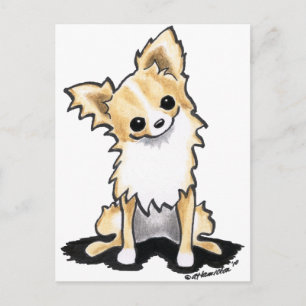 Fawn & White Longhair Chihuahua Sit  Briefkaart