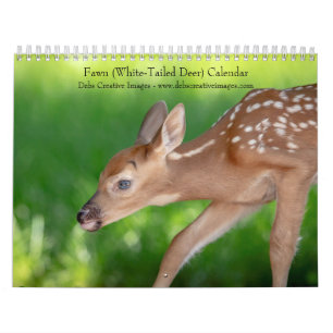Fawn (witstaarthert) 2026 kalender