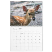 Fawns Kalender (Feb 2027)