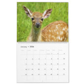 Fawns Kalender (Jan 2026)