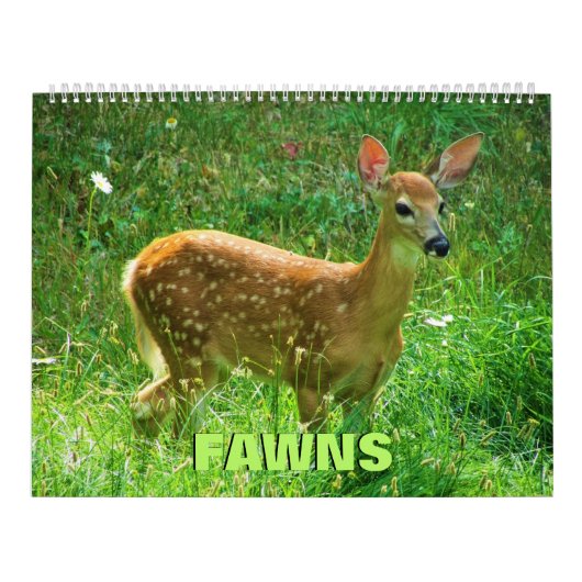 Fawns Kalender (Hoes)