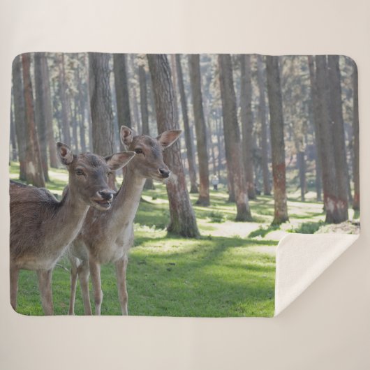 FAWNS SHERPA DEKEN (Voorkant (horizontaal))