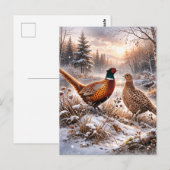 Fazant briefkaart (Voorkant / Achterkant)