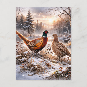 Fazant briefkaart