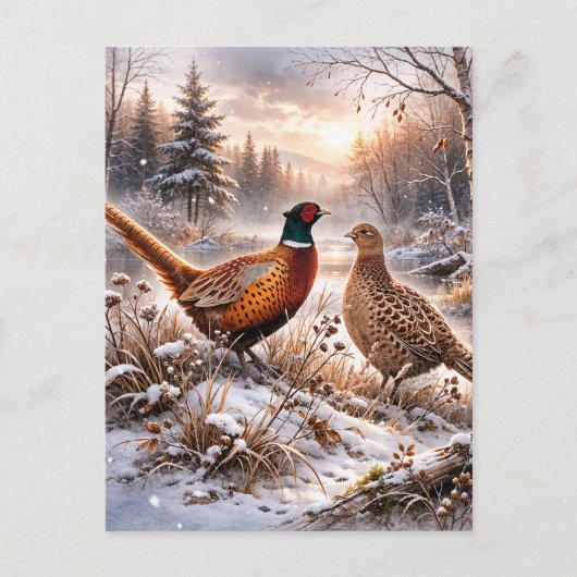 Fazant briefkaart (Voorkant)