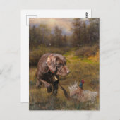 Fazant jacht met een Pudelpointers Briefkaart (Voorkant / Achterkant)