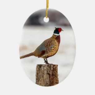 fazant keramisch ornament