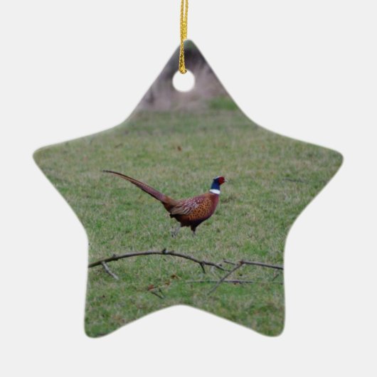 Fazant Keramisch Ornament (Voorkant)