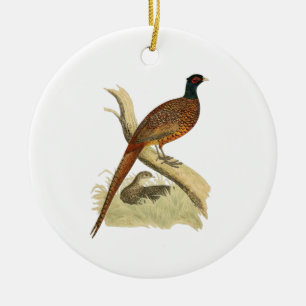 fazant op de kleur van de vogeltrek van het Spel Keramisch Ornament