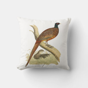  fazant op de kleur van de vogeltrek van het Spel  Kussen