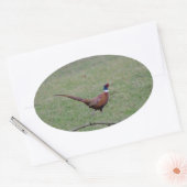 fazant ovale sticker (Envelop)