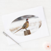 fazant ovale sticker (Envelop)