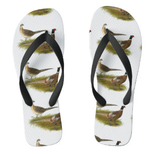 fazant: Ringnek Paar Teenslippers