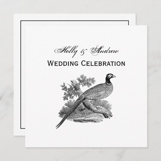 fazant-vogeltrekbaan kaart (Voorkant / Achterkant)