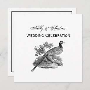  fazant-vogeltrekbaan kaart