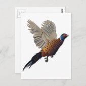 fazant zonder tekst briefkaart (Voorkant / Achterkant)