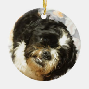FB_IMG_1481505521015 Shitzu dog Keramisch Ornament