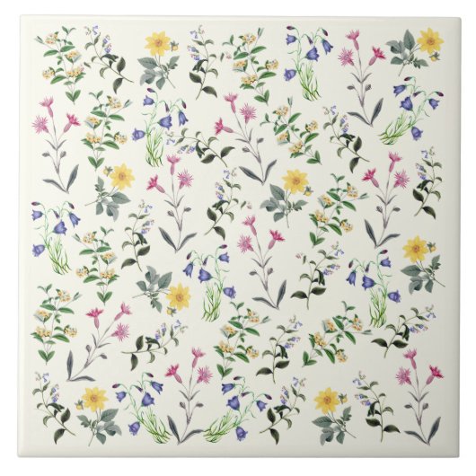 Fbotanische wilde bloemen plakken 6x6 tegeltje (Voorkant)