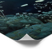 *~* FD3 12 Enchanting Forest Nymph Fantasy Poster (Hoek)