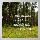 Fearful en Wonderful Made Poster (Voorkant)