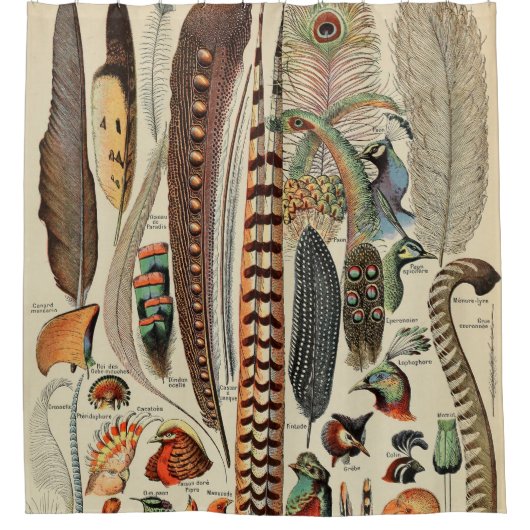 Feather Bird Wildlife Antiek veren Douchegordijn (Voorkant)