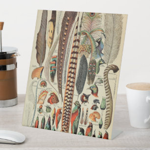 Feather Bird Wildlife Antiek veren Reclamebord Met Voetstuk