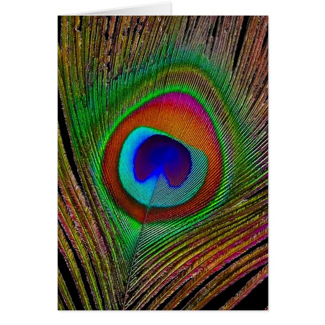 Feather Vibrant Copper (Devant)