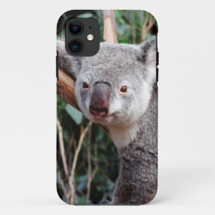 Featherdale Wildlife Park, Koala-Beren iPhone 11 Hoesje