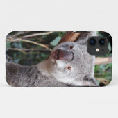 Featherdale Wildlife Park, Koala-Beren Case-Mate iPhone Case (Achterkant (horizontaal))