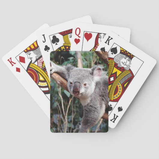 Featherdale Wildlife Park, Koala-Beren Pokerkaarten (Achterkant)