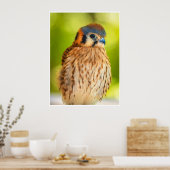 Feathered Ember: The Watchful Kestrel Poster (Keuken)